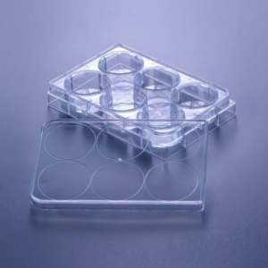 Cell Culture Plate, 6-Well, TC-Treated, Sterile