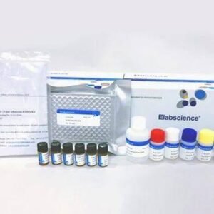 CAP (Chloramphenicol) ELISA Kit
