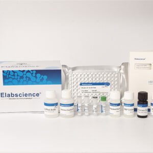 Human IFN-γ(Interferon Gamma) ELISA Kit