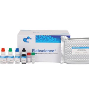 African Swine Fever Antibodies ELISA Kit (Indirect)