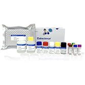 OTC (Oxytetracycline) ELISA Kit