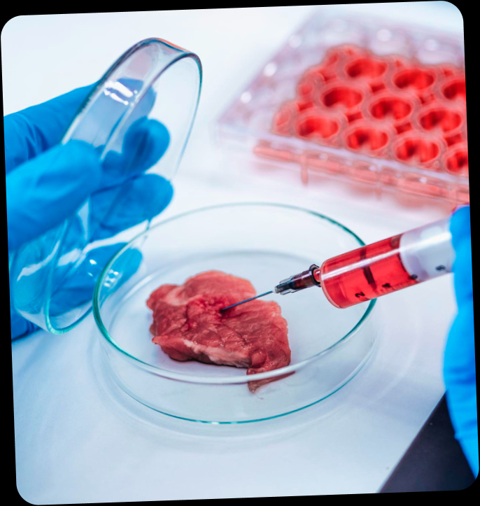Laboratory PCR Testing