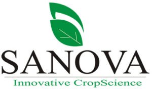 PT. SANOVA